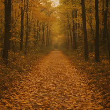 Jigsaw puzzle: A forest path covered in golden autumn leaves, flanked by trees, fading into the distance.