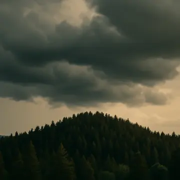 Jigsaw puzzle: Dense pine forest covers a hill beneath heavy, dark storm clouds in the sky.