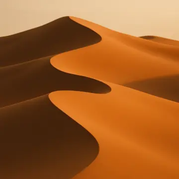 Jigsaw puzzle: Close-up of undulating golden sand dunes with contrasting light and shadow under a clear sky.