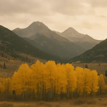 Jigsaw puzzle: Vibrant golden aspen trees in a valley with dark mountains under a muted sky.