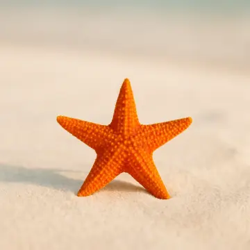 Jigsaw puzzle: A vibrant orange starfish stands upright on light-colored sand with a blurry background.